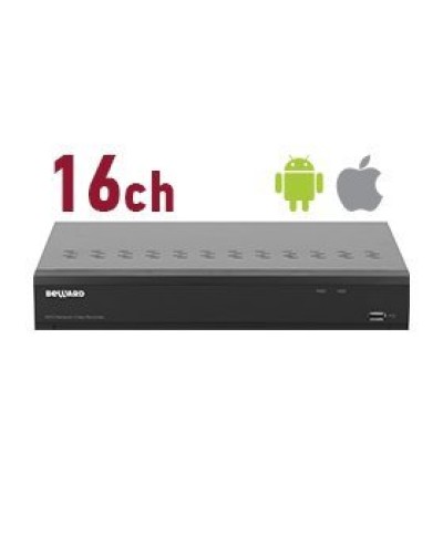 RK1116. Видеорегистратор IP 16-канальный. Beward в Оренбурге
