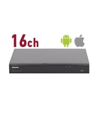 RK2216. Видеорегистратор IP 16-канальный. Beward в Оренбурге