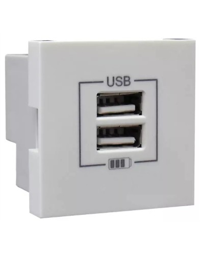 Розетка USB двойная, зарядная, белая (45439 SBR): Розетка USB двойная в Оренбурге