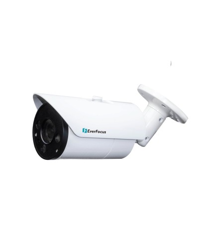 EZN-268V. Видеокамера IP купольная. EverFocus в Оренбурге