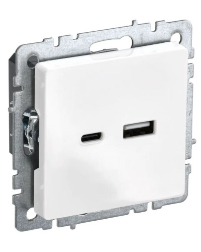 Розетка USB A+C 18Вт РЮ11-1-БрБ белый BRITE (BR-U22-018-K01). Розетка USB. IEK в Оренбурге