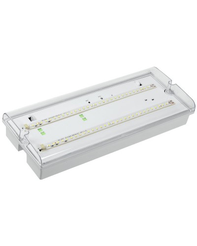 Светильник аварийный ДПА 5042-3 3ч IP65 LIGHTING (LDPA0-5042-3-65-K01). Светильник аварийный универсальный. IEK в Оренбурге