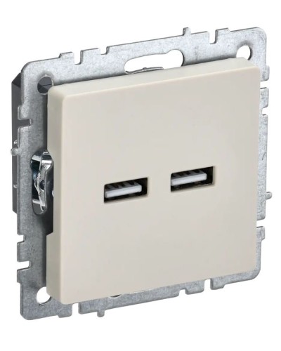 Розетка USB A+A 3,1А РЮ10-1-БрКр бежевый BRITE (BR-U21-D31-K10). Розетка USB. IEK в Оренбурге