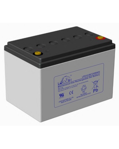 LEOCH LPG 12-60. Аккумулятор герметичный свинцово-кислотный. LEOCH в Оренбурге