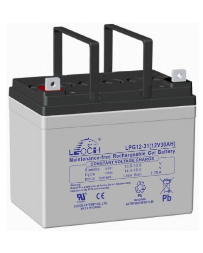 LEOCH LPG 12-31. Аккумулятор герметичный свинцово-кислотный. LEOCH в Оренбурге