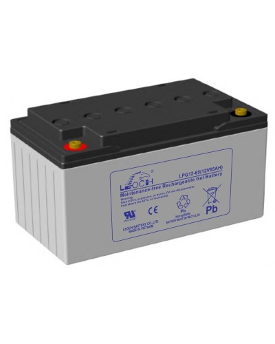 LEOCH LPG 12-65. Аккумулятор герметичный свинцово-кислотный. LEOCH в Оренбурге