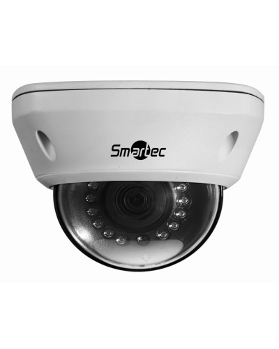 STC-IPM5591/1. Видеокамера IP купольная. Smartec в Оренбурге