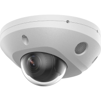 F-IC-2522C2MS(4мм). Бюджетная IP-видеокамера купольная. i-FLOW