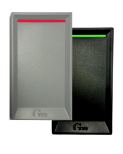 Gate-Reader-EH. Считыватель. Равелин в Оренбурге